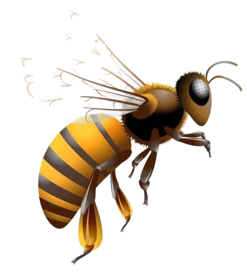 Bee Character